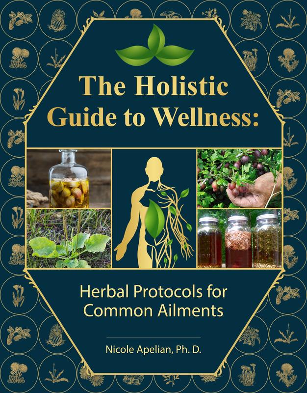 The Holistic Guide to Wellness: Herbal Protocolsfor Common Ailments | 45 Different HealthConditions l Soft Cover